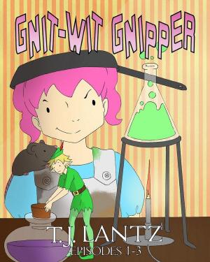 Cover of The Misadventures of Gnipper the Gnome, episodes 1-3