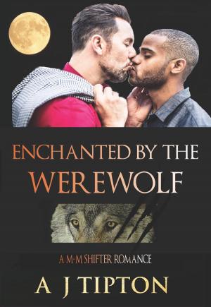 Cover of the book Enchanted by the Werewolf by AJ Tipton, Daniela Bordeaux