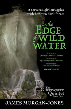 Cover of the book On the Edge of Wild Water by JOHN F. WAKE