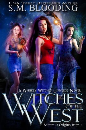 Cover of the book Witches of the West by Lindsay Paige