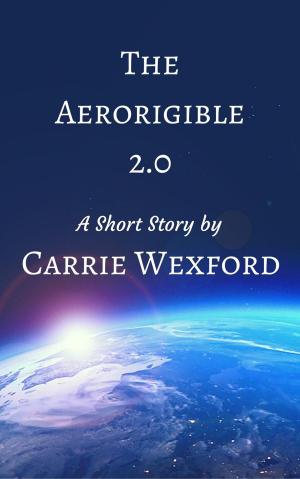 Book cover of The Aerorigible 2.0