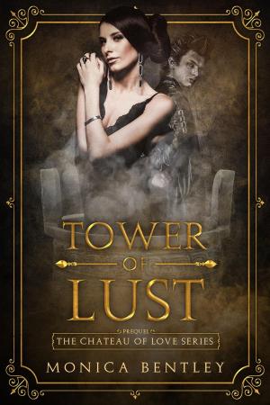 Cover of the book Tower of Lust by Robin Elno