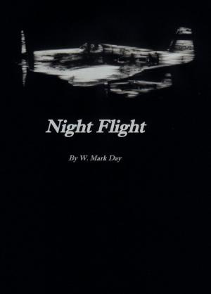 Cover of the book Night Flight by Tom Bielawski