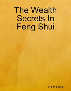 Cover of the book The Wealth Secrets In Feng Shui by Robert Piekiel