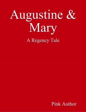 Cover of the book Augustine & Mary by Jim DuBois