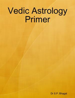 Cover of the book Vedic Astrology Primer by Daniel West