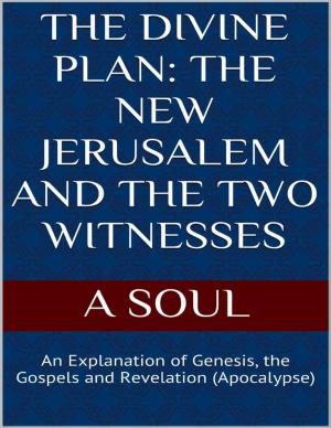 Cover of the book The Divine Plan: The New Jerusalem and the Two Witnesses by Shadrack Midenyo