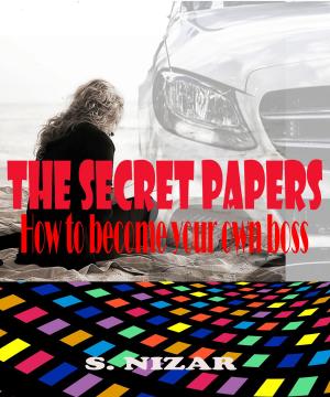 Cover of the book THE SECRET PAPERS by Todd Johnson, Robert Joseph Ahola