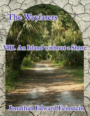 Book cover of The Wayfarers Viii - An Island Without a Shore