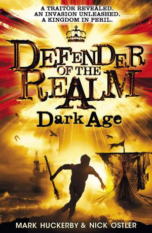 Cover of the book Defender of the Realm 2: Dark Age by Tom  Clempson