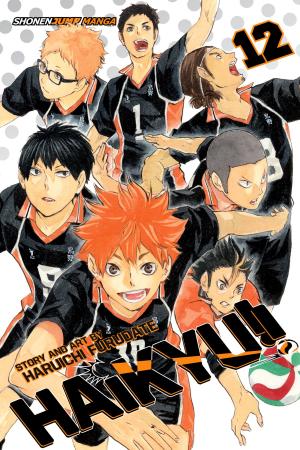 bigCover of the book Haikyu!!, Vol. 12 by 