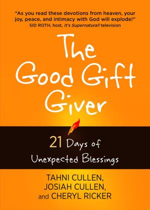 Book cover of The Good Gift Giver