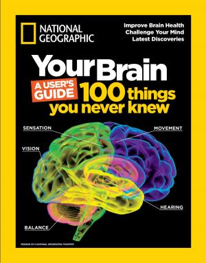 Cover of the book Your Brain: A User's Guide by Ashlee Brown Blewett