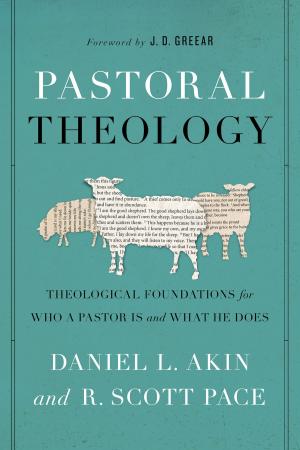 Cover of the book Pastoral Theology by Paul R. House