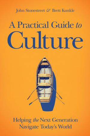 Book cover of A Practical Guide to Culture