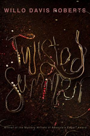 bigCover of the book Twisted Summer by 