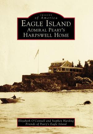 Cover of the book Eagle Island by Antonia Petrash