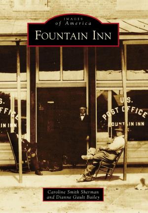 Cover of the book Fountain Inn by Richard Thompson