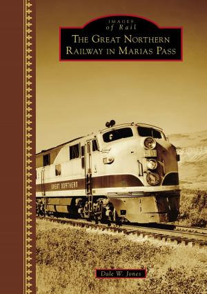 Cover of the book The Great Northern Railway in Marias Pass by W.C. Madden