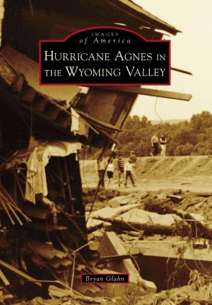 Cover of the book Hurricane Agnes in the Wyoming Valley by Pam Vaughan, Brendan Vaughan, Laws Railroad Museum