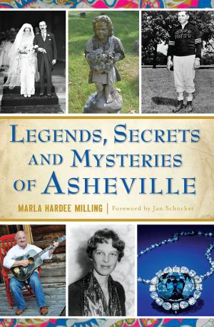 Cover of the book Legends, Secrets and Mysteries of Asheville by David H. Steinberg, Chattanooga Choo Choo