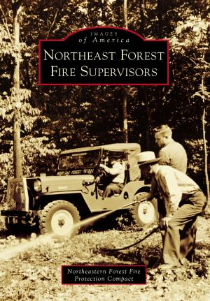 Cover of the book Northeast Forest Fire Supervisors by Judith Doolin Spikes, Anne Marie Leone