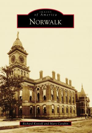 Cover of the book Norwalk by Dr. Gene Atkinson