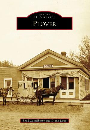 Cover of the book Plover by Jacob R. Mecklenborg