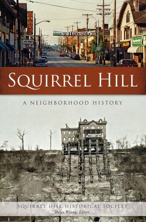 Cover of the book Squirrel Hill by William Iseminger