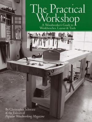 Book cover of The Practical Workshop