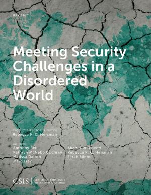 Cover of the book Meeting Security Challenges in a Disordered World by 
