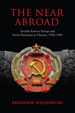 Cover of the book The Near Abroad by Bernard Lonergan, Lonergan Research Institute