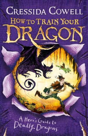 Cover of the book How to Train Your Dragon: A Hero's Guide to Deadly Dragons by Damian Harvey