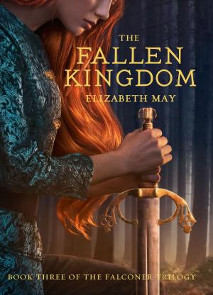 Book cover of The Fallen Kingdom