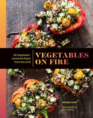 Cover of the book Vegetables on Fire by Danielle Krysa