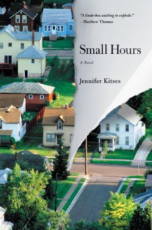 Cover of the book Small Hours by Candice Dow, Daaimah S. Poole