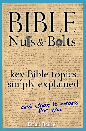 Cover of the book Bible Nuts and Bolts: Key Bible Topics Simply Explained by David Kline Lovett