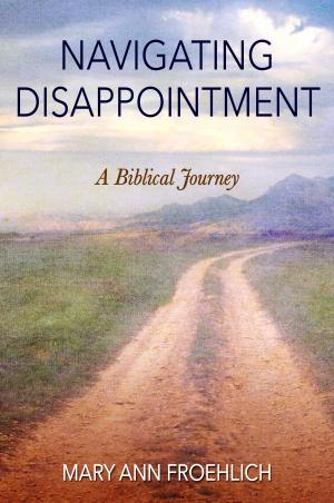 Book cover of Navigating Disappointment
