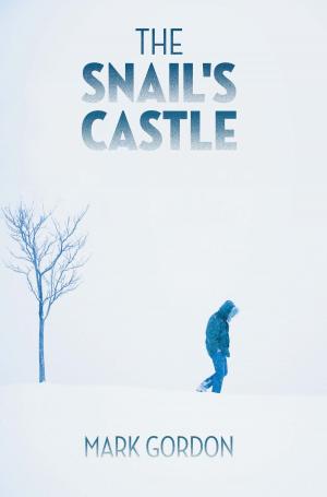 Cover of the book The Snail's Castle by Amy Stevens, May Stevens, Dan Stevens