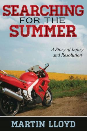 Cover of the book Searching for the Summer: A Story of Injury and Resolution by Sandra McBride