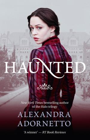 Book cover of Haunted (Ghost House, Book 2)