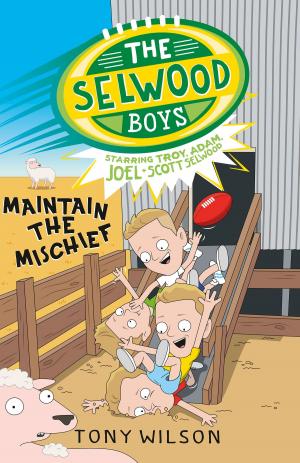 bigCover of the book The Selwood Boys by 