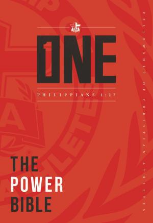 Book cover of Power Bible: One Edition