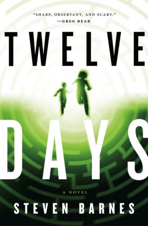 Cover of the book Twelve Days by S. E. Hinton