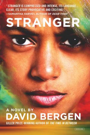 Cover of the book Stranger by Lee Bennett Hopkins