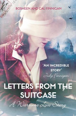 Cover of Letters From The Suitcase