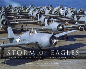 Cover of the book Storm of Eagles by Alexandra M. Kokoli