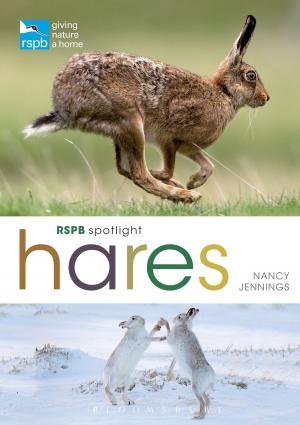 Cover of the book RSPB Spotlight Hares by Richard Zoglin