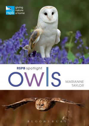 Cover of the book RSPB Spotlight Owls by Clive Byers