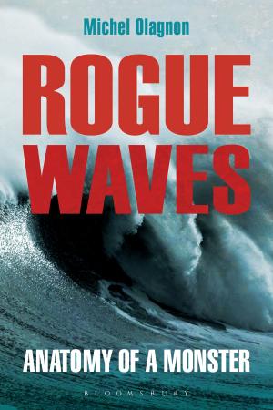 Cover of the book Rogue Waves by Jackson Pearce